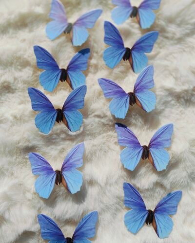Butterfly Toppers Pastel shade