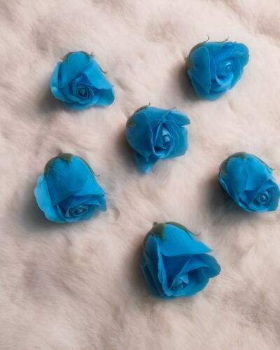 Scented Flowers Ocean Blue pack of 5