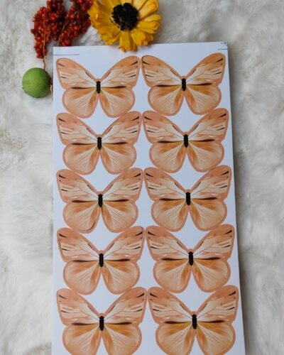 Paper Butterfly Orange