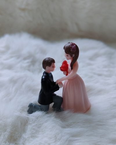 Engagement couple-miniature Toy set