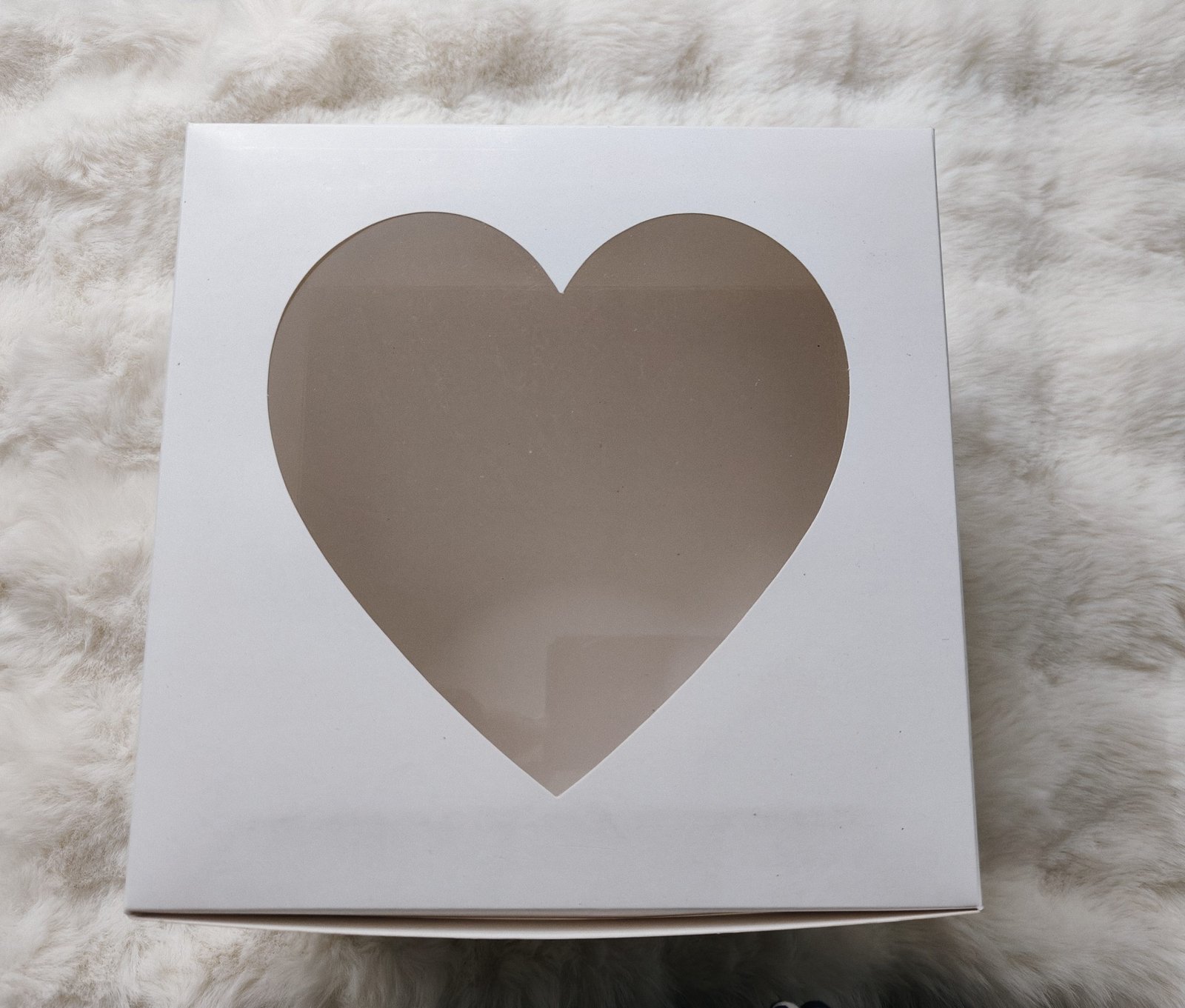 Window cake Box 10*10*5 Inches