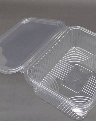 Hinged Rectangular Box (500 ml)